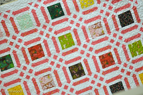 Quilt Pattern Quilts-5